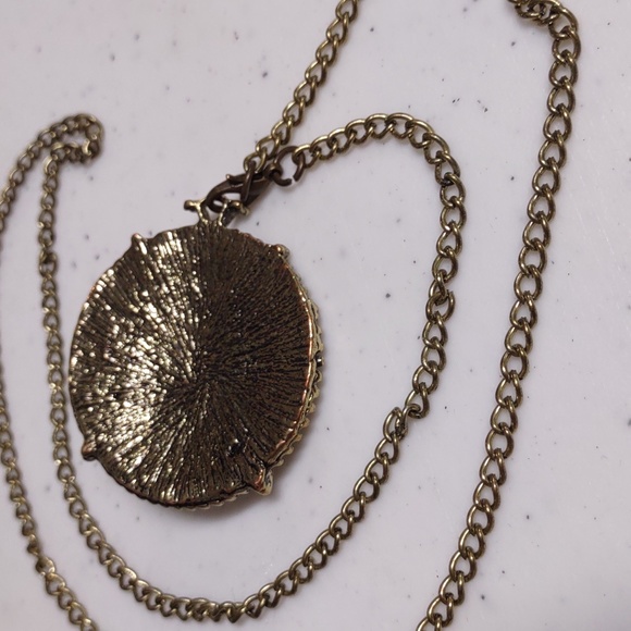 🧭 Steampunk Beetle pendant and chain - Picture 7 of 7